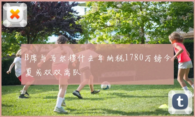 B席与马尔穆什去年纳税1780万镑今夏或双双离队